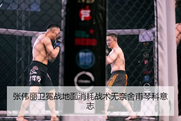 张伟丽卫冕战地面消耗战术无奈舍甫琴科意志