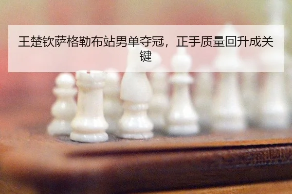 wang-chu-qin-sa-ge-lei-bu-zhan-nan-dan-duo-guan-zheng-shou-zhi-liang-hui-sheng-cheng-guan-jian-2-806.jpg