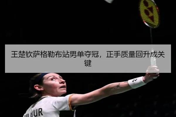 wang-chu-qin-sa-ge-lei-bu-zhan-nan-dan-duo-guan-zheng-shou-zhi-liang-hui-sheng-cheng-guan-jian-3-104.jpg