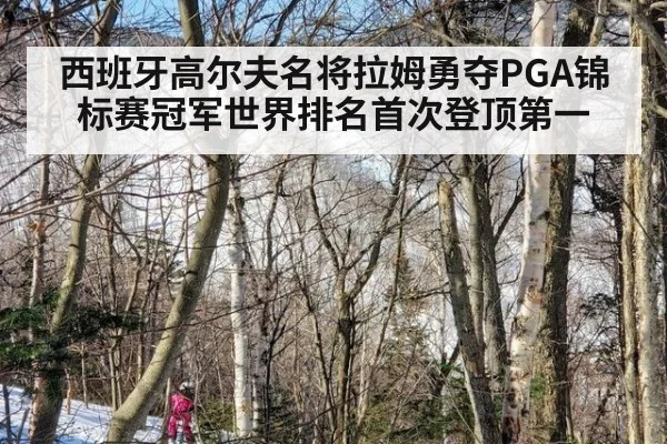 西班牙高尔夫名将拉姆勇夺PGA锦标赛冠军世界排名首次登顶第一