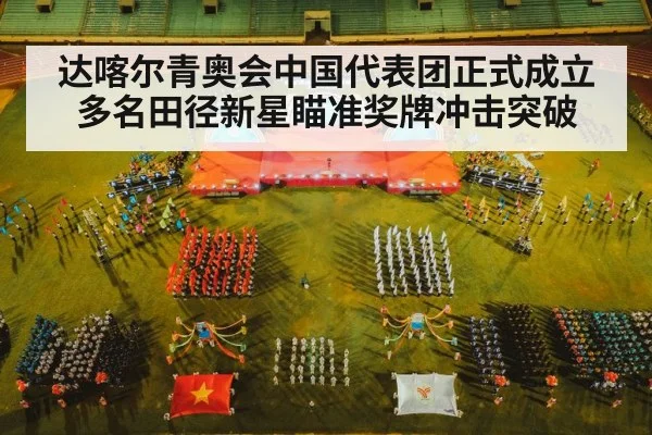 达喀尔青奥会中国代表团正式成立 多名田径新星瞄准奖牌冲击突破